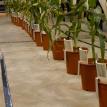 Sensor in pots